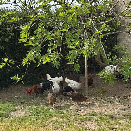 Gite A La Ferme Le Rousset Kültér fotó